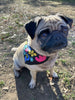 Pet Bandana Collar